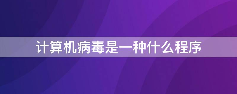 计算机病毒是一种什么程序 从本质上讲计算机病毒是一种什么程序