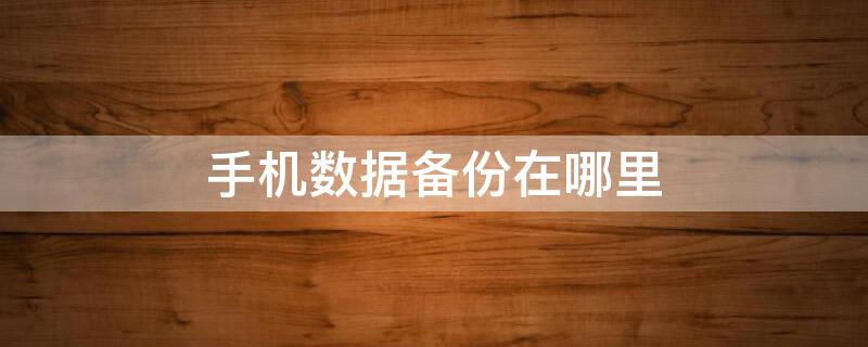 手机数据备份在哪里（手机数据备份在哪里查看）