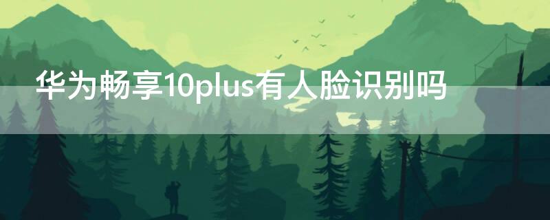 华为畅享10plus有人脸识别吗（华为畅享10plus怎么设置人脸识别）