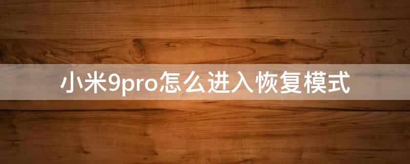 小米9pro怎么进入恢复模式（小米9pro怎么设置返回键）