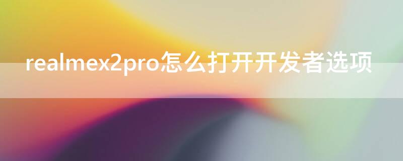 realmex2pro怎么打开开发者选项 realmex2pro怎么关闭开发者模式