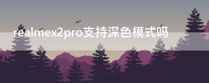 realmex2pro支持深色模式吗 realmex2pro哪个颜色好看