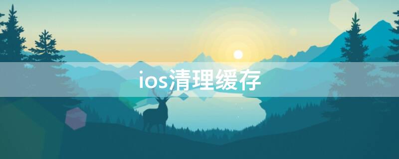 ios清理缓存 ios清理缓存插件