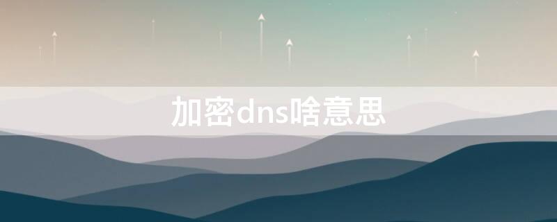 加密dns啥意思（加密DNS是啥意思）