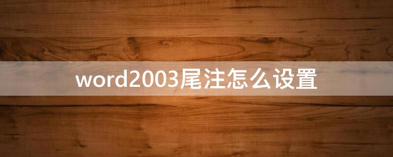 word2003尾注怎么设置（word2003尾注怎么设置[1]）
