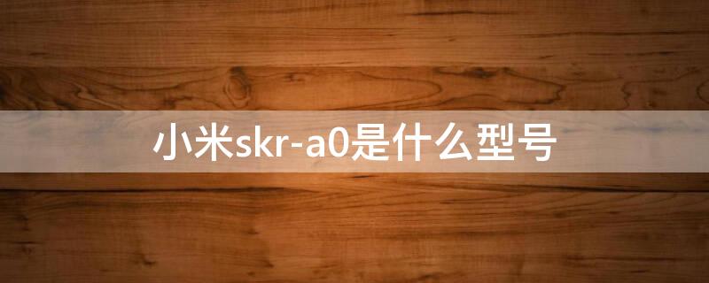 小米skr-a0是什么型号（小米skra0是什么型号）