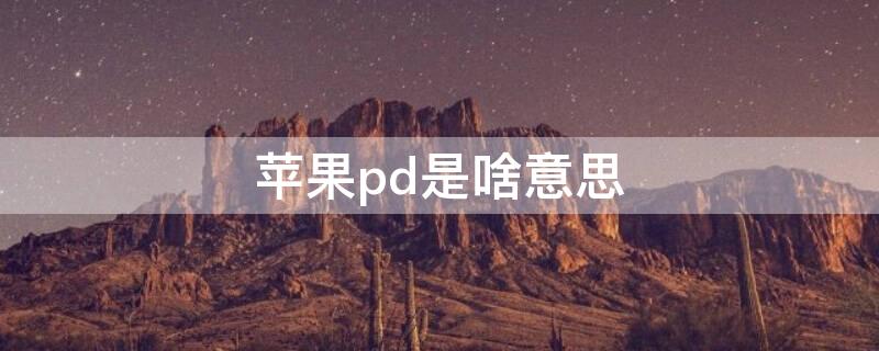 iPhonepd是啥意思 苹果12pd是什么意思啊