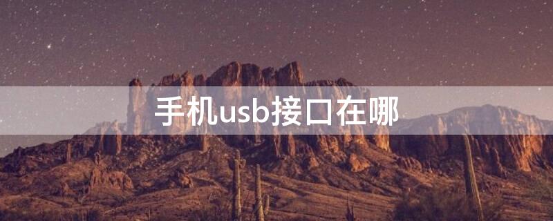 手机usb接口在哪（手机USB接口在哪里打开）