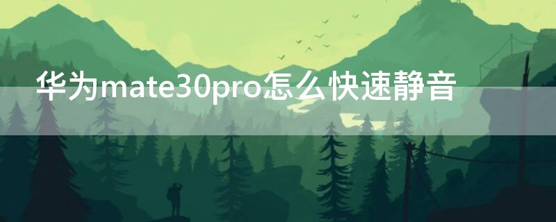 华为mate30pro怎么快速静音（mate30Pro快速静音）