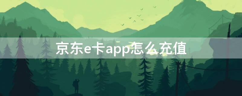 京东e卡app怎么充值 京东e卡app怎么充值不了