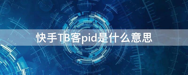 快手TB客pid是什么意思