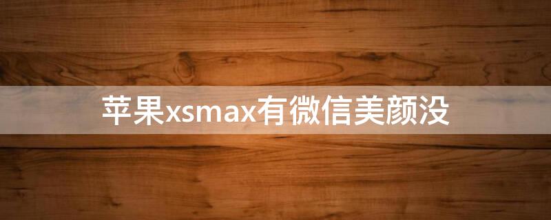 iPhonexsmax有微信美颜没（苹果xs max微信美颜）