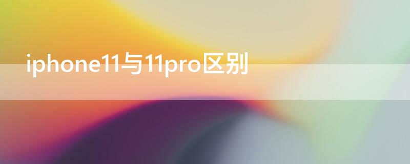 iPhone11与11pro区别 iphone11与11pro区别手机壳