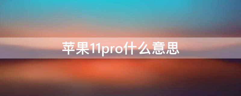 iPhone11pro什么意思（苹果11pro意思）