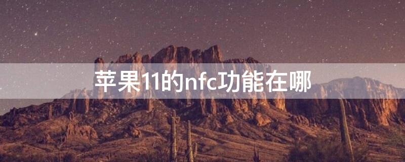 iPhone11的nfc功能在哪 苹果11的nfc功能在哪个位置