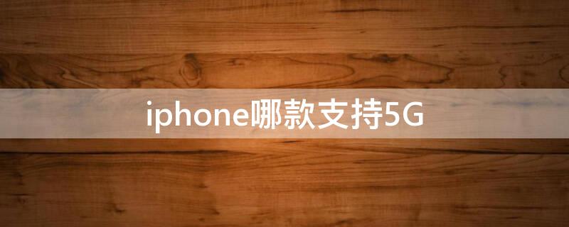 iPhone哪款支持5G iphone哪款支持5g网络