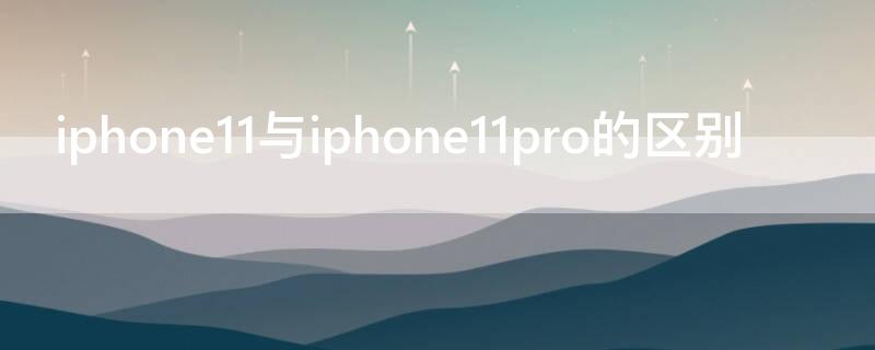 iPhone11与iPhone11pro的区别（iphone11和iphone11pro什么区别）
