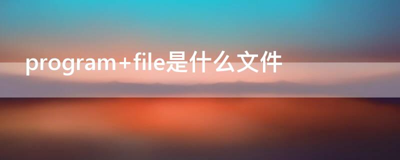 program file是什么文件