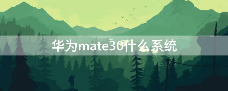 华为mate30什么系统 mate30用什么系统更好