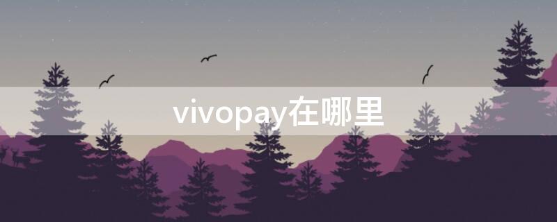 vivopay在哪里（vivopay在哪里可以找到）