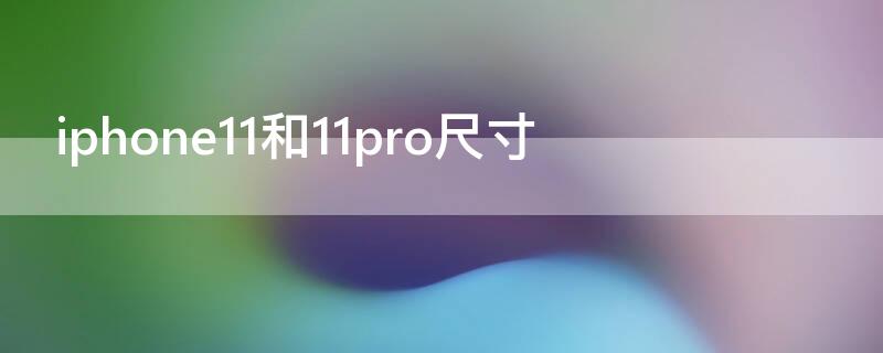 iPhone11和11pro尺寸 iPhone11和11pro尺寸一样吗