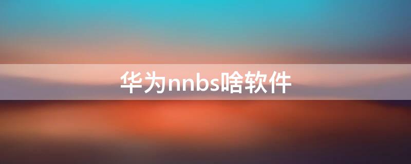 华为nnbs啥软件（华为手机nnbs能卸载吗）