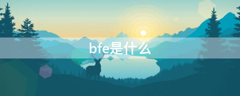 bfe是什么（bfe是什么牌子）