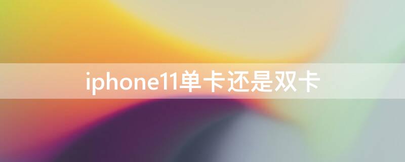 iPhone11单卡还是双卡 苹果11有单卡版本吗