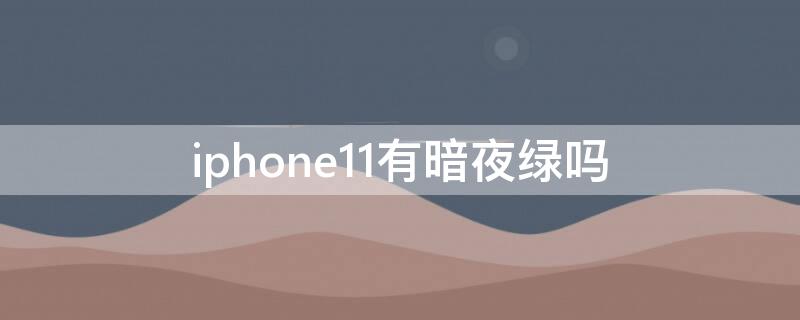 iPhone11有暗夜绿吗 苹果11暗夜绿是限量版吗