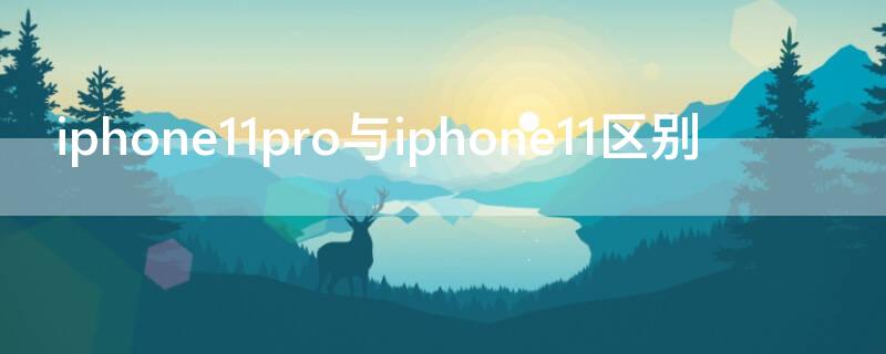 iPhone11pro与iPhone11区别 iphone11和iphone11 pro的区别