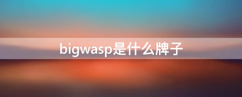 bigwasp是什么牌子（bigwasp是什么牌子好不好）