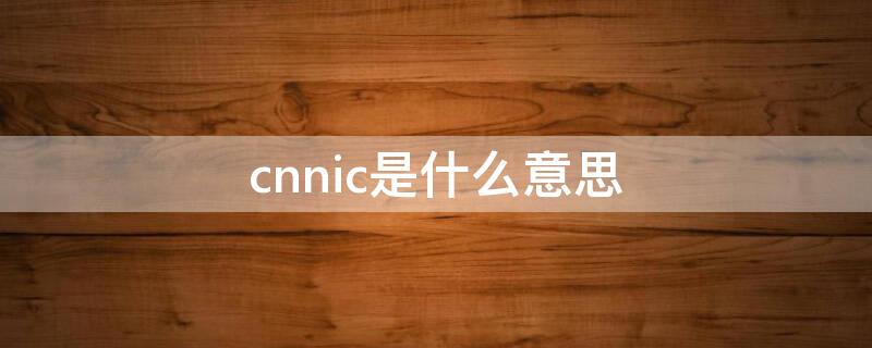 cnnic是什么意思（CNNIC是什么意思啊）
