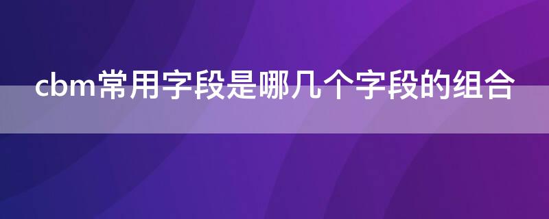 cbm常用字段是哪几个字段的组合 cbm常用字段包括