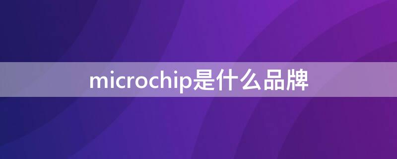 microchip是什么品牌 microchip是哪个国家的品牌