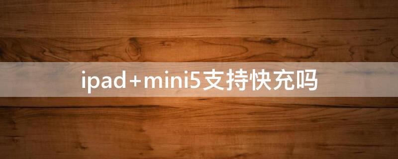 ipad mini5支持快充吗