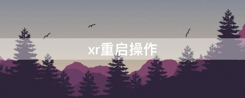 xr重启操作 xr 重启