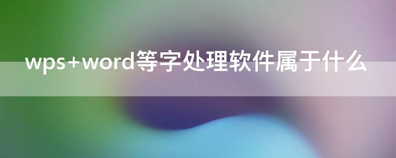 wps word等字处理软件属于什么