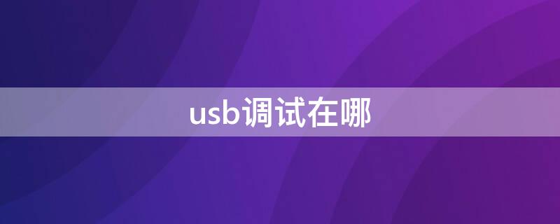 usb调试在哪 usb调试模式