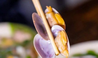 花蛤壳属于什么垃圾 花蛤壳属于什么垃圾杭州