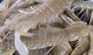 濑尿虾怎样剥皮最简便 怎么剥濑尿虾比较方便