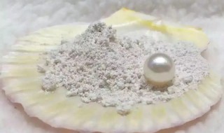 如何挑选好的珍珠粉 怎么样的珍珠粉才是好