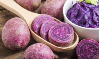 阳台怎么栽紫薯 在家怎么种紫薯