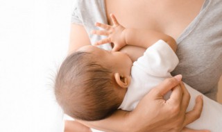 初乳不放冰箱可以保存多久 初乳能放冰箱吗