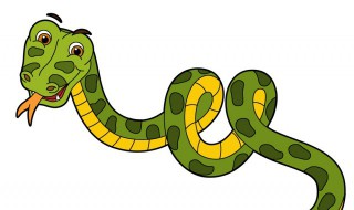 蛇是国家保护动物吗（菜花蛇是国家保护动物吗）