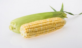 鲜玉米怎么保存时间长 鲜玉米怎么保存时间长一点