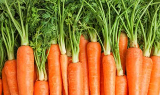胡萝卜最好的保存方法 胡萝卜最简单的保存方法
