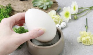 鹅蛋一般煮多长时间 鹅蛋一般煮多长时间才能熟