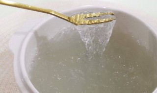 燕窝与雪燕的区别 燕窝和雪燕的区别是什么 哪个更好