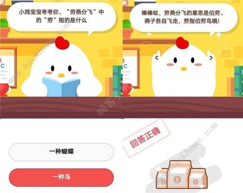 龙猫是猫吗？ 支付宝蚂蚁庄园今日答案10月19日[多图]图片2