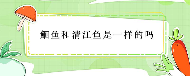 鮰鱼和清江鱼是一样的吗 鮰鱼就是清江鱼吗